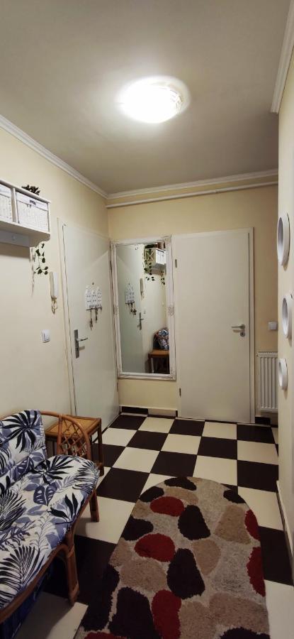 Brasov Kronstadt Garden Studio מראה חיצוני תמונה