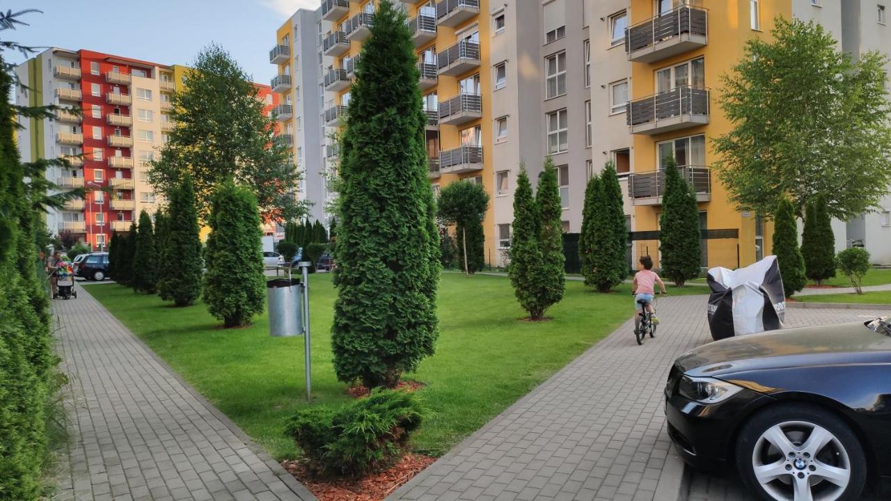 Brasov Kronstadt Garden Studio מראה חיצוני תמונה