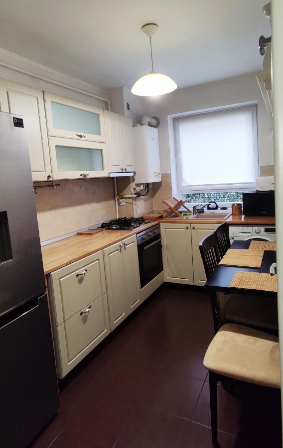 Brasov Kronstadt Garden Studio מראה חיצוני תמונה